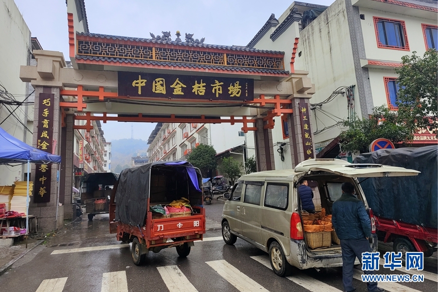 新春走FB體育 FB體育平臺基層｜傳統(tǒng)年貨發(fā)揮抗疫新作用 小金桔節(jié)前走俏(圖5)