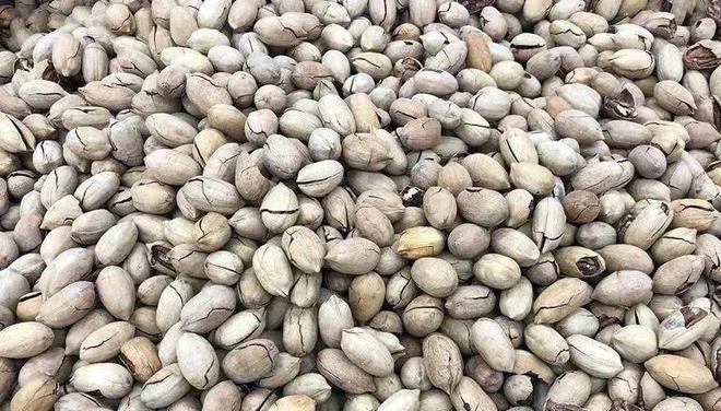 FB體育 FB體育平臺不管多有錢春節這4種干果別買回家懂行人：白給都不想要！(圖2)