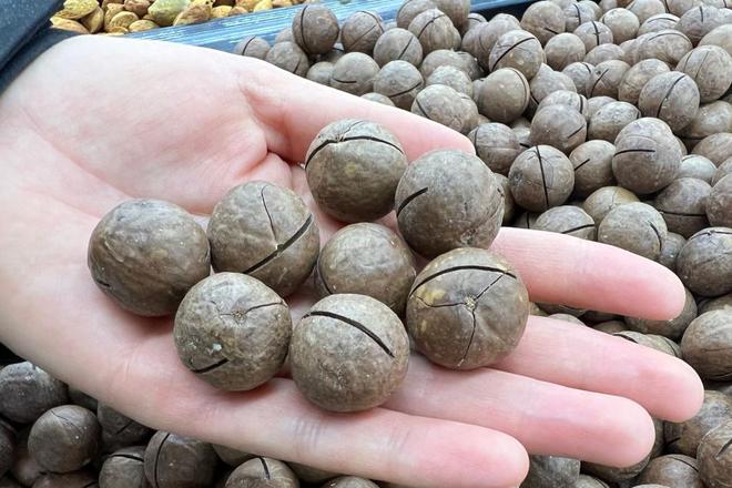 FB體育 FB體育平臺不管多有錢春節這4種干果別買回家懂行人：白給都不想要！(圖5)