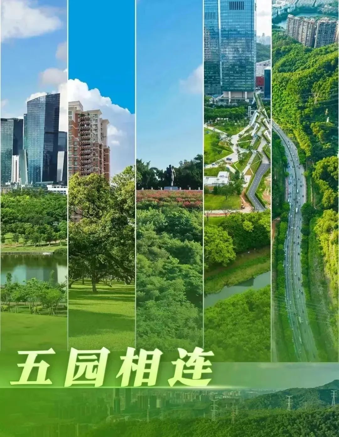 FB體育 FB體育平臺圳的很好玩！來看深圳準備了哪些“新春大招”？(圖3)