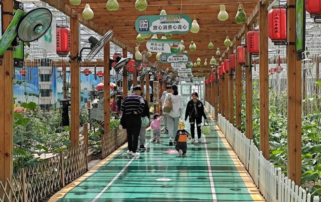 FB體育 FB體育平臺清明假期人潮涌動！楓涇古鎮(zhèn)迎來春節(jié)后第一波旅游高峰→(圖3)