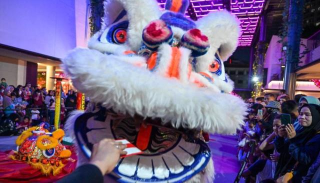 FB體育 FB體育平臺春節成為聯合國假日！千年習俗何以變身全球“文化爆款”？(圖5)
