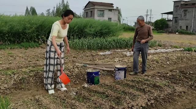 那年除夕媽媽給一流浪男孩一盤餃子從那以后每年春節(jié)他都來我家FB體育 FB體育平臺(圖6)