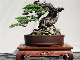 過年需要準備哪些年貨 過年置辦年貨清單分享FB體育 FB體育平臺(圖1)