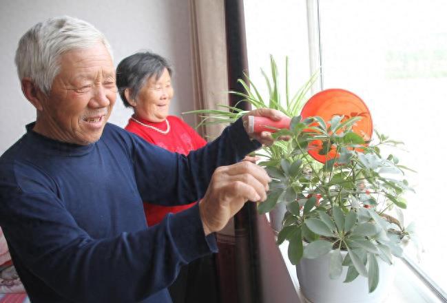 退休后才會發(fā)現(xiàn)：多子女家庭的老人比獨(dú)生子女家庭的老人更幸福FB體育 FB體育平臺(圖4)