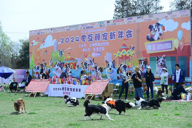 FB體育 FB體育平臺第二屆顏寵新年牽爪之約【2024零互顏寵新年會】圓滿落幕(圖1)