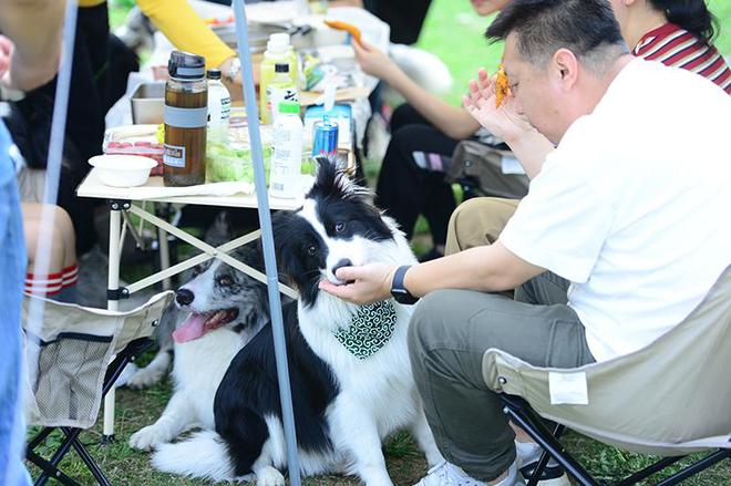 FB體育 FB體育平臺第二屆顏寵新年牽爪之約【2024零互顏寵新年會】圓滿落幕(圖2)