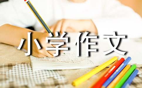 買年貨FB體育 FB體育平臺小學作文(圖1)